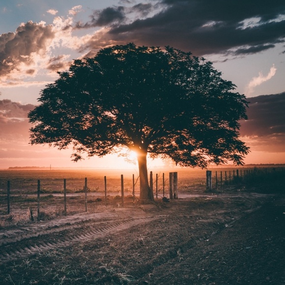 Meet your Posher, Maribel - Picture 1 of 1